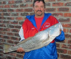 Galjoene en Kabeljoue